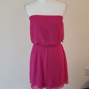 NWT Express Strapless Dress